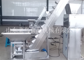 给袋式自动包装机