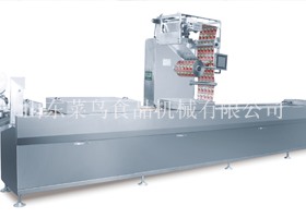 全自动连续拉伸膜真空包装机CNDLZ_320